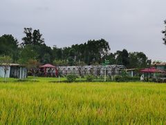 -洪湖家庭农场·团建·露营·会议