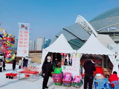 -沈阳奥体冰雪嘉年华