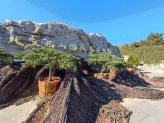 -北京西山国家森林公园