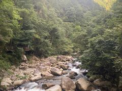 -炎陵县神农谷国家森林公园