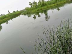 -太湖湖滨国家湿地公园-停车场