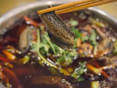 -高坎一品甲鱼庄(两河店)