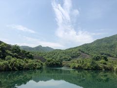 -龙坞茶村