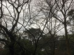 -灵隐飞来峰景区