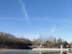 -大兴滨河森林公园