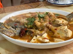 -煲来饱去冷水鱼