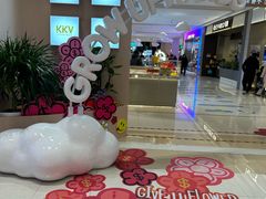 -凯德MALL(望京店)