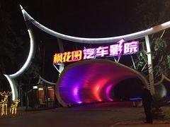 -枫花园汽车电影院(朝阳公园店)