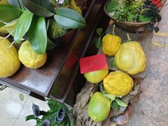 -双季花艺园艺市场(浦东店)