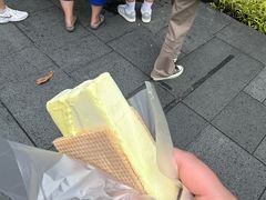 -詹爷爷乌节路街头冰淇淋