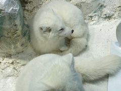 -哈尔滨极地公园