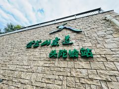 -紫金山山顶公园