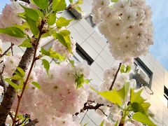 -中国石油大学（北京）(北京西校区)