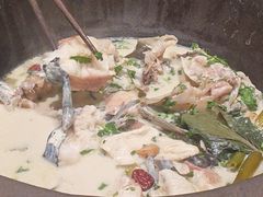 -鲜潭蒸汽石锅鱼(五道口购物中心店)