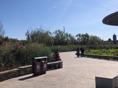 -永定河休闲森林公园