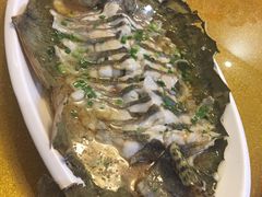 -呼吸森林·生态农庄农家乐私房菜