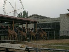 android_upload_pic-石家庄市动物园