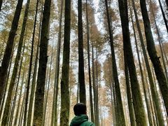 -山王坪喀斯特国家生态公园