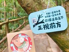 -昆明青龙峡风景区