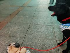 -东海金街市场