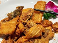 -顺峰顺水顺德菜(第一百货店)