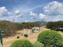 -福建鲤鱼洲酒店