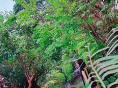 -Chom Cafe and Restaurant