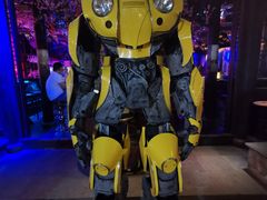 -周庄红庭演艺酒吧