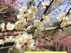 -南山风景名胜区