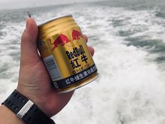 -大鹿岛