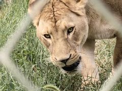 -鄂尔多斯野生动物园