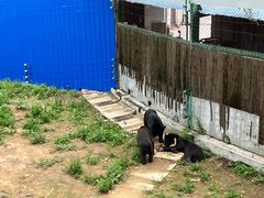 -五龙山野生动物王国