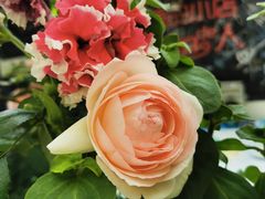 -又见炊烟私房菜(敬亭路店)