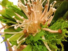 蔬菜拼盘-汤城·料青山