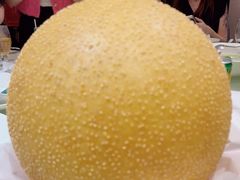 -顺轩海鲜火锅酒家