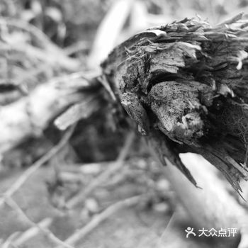 厉害的工匠们，拿着一大块的木板或者是竹子