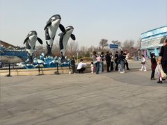 -石家庄极地海洋世界