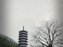 -羊楼洞