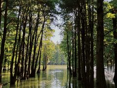 -尚湖风景区