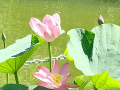 -西海子公园