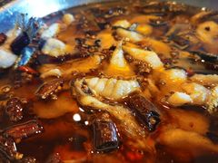 -辣婆婆(航天桥店)