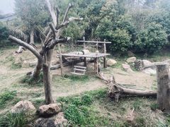 -宁波野生动物园