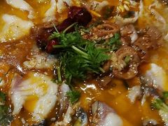 -龙梅肥肠鱼(明瓦廊店)