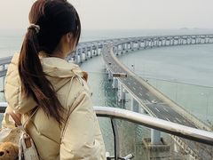 -星海湾跨海大桥