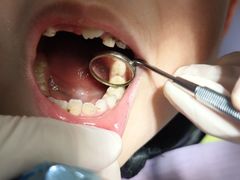 -泰康拜博口腔(世博园乐尔店)