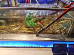 -V-ONE西雅图海鲜自助餐厅(仓山万达广场店)