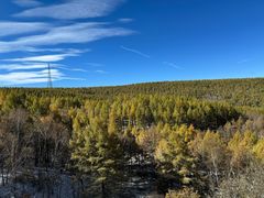 -塞罕坝国家级自然保护区