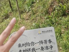 -波尔登森林公园