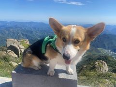 -白草畔自然风景区