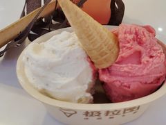 -极拉图·现制冰淇淋(大卫城店)